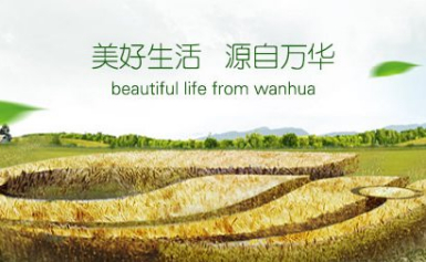 WANHUA万华