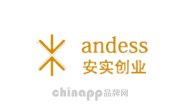 安实创业Andess