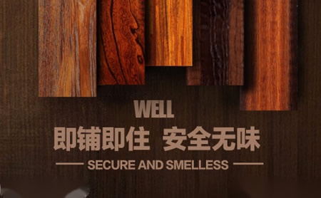 惠尔WELL